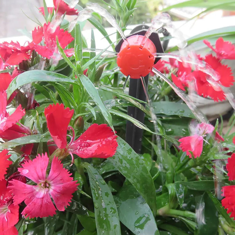Système alternatif au goutte a goutte bouteille arroseur fleurs et plantes