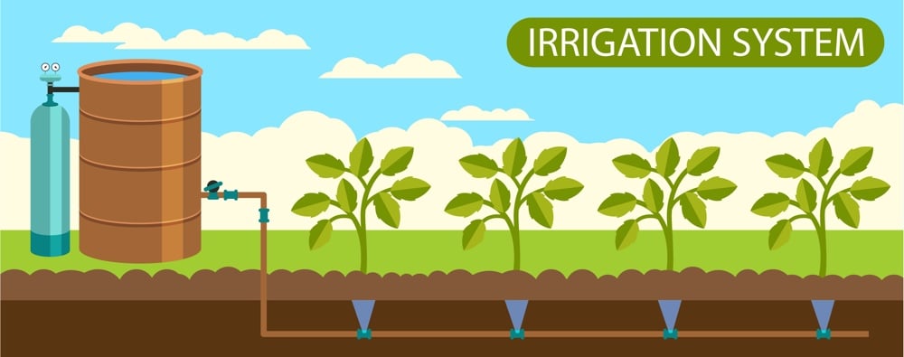 goutte à goutte Maroc système d’irrigation enterré