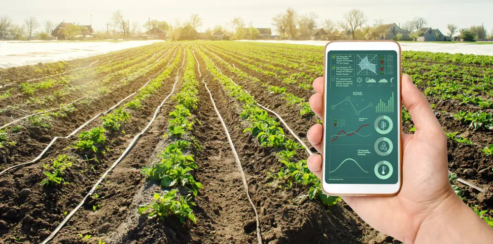 irrigation goutte à goutte augmenter la productivité