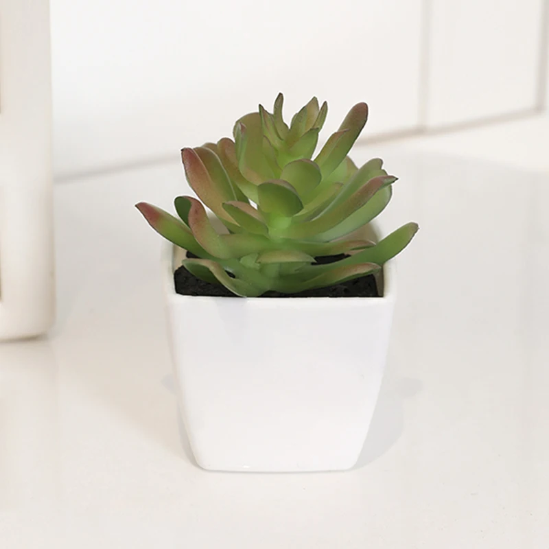 Mini plantes artificielles succulentes en pot