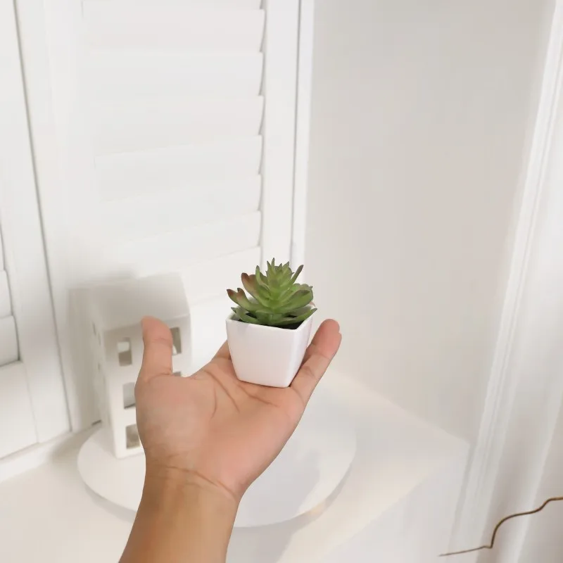 Mini plantes artificielles succulentes en pot