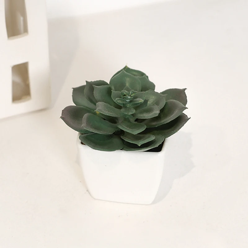 Mini plantes artificielles succulentes en pot