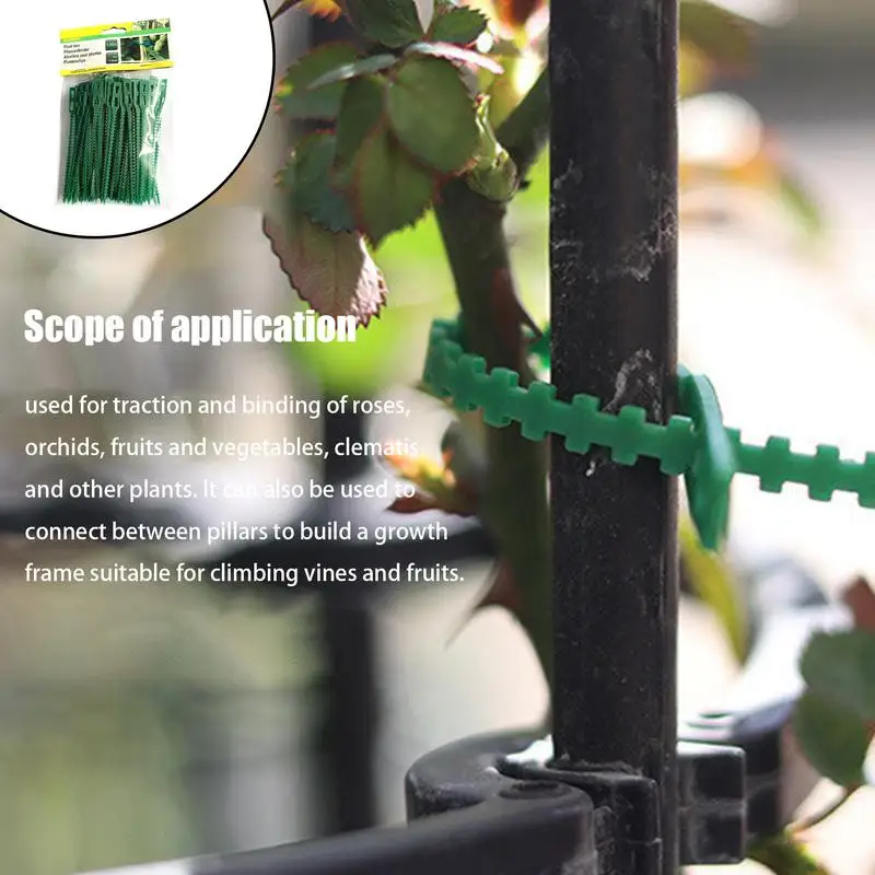 8 Attaches De Câble En Forme De Grenouille – Pour Plantes Grimpantes, Jardin, Décoration Intérieure/extérieure, PVC Souple