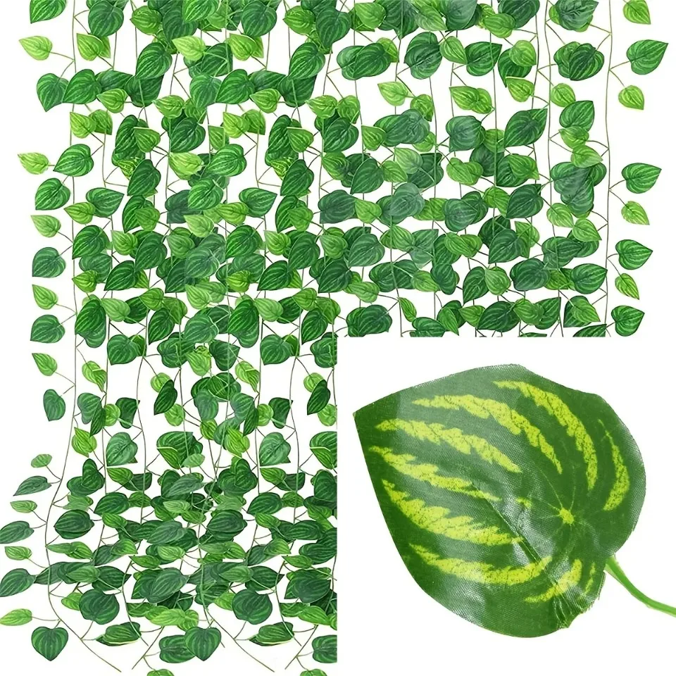 image11