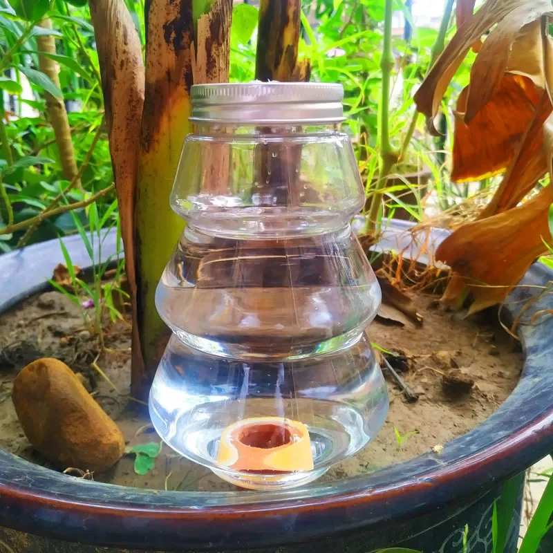 Bulle Arrosage