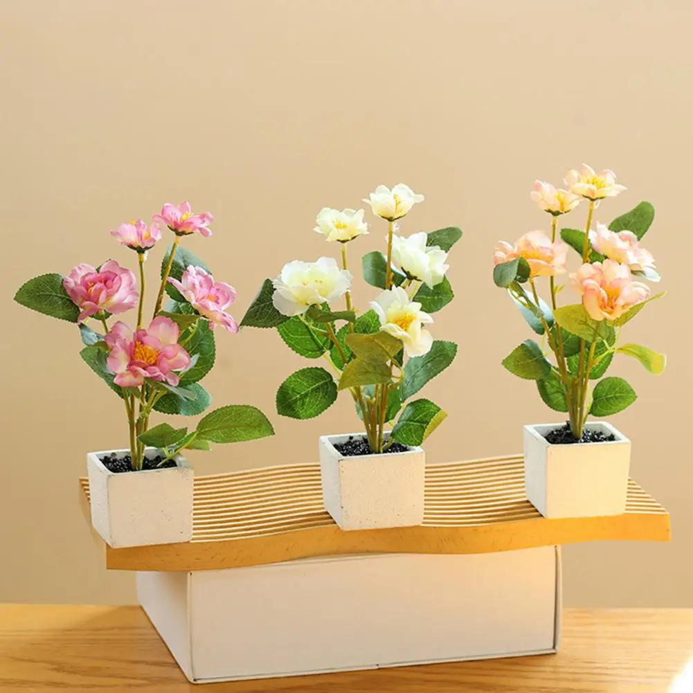 Plantes Plein Soleil Sans Arrosage