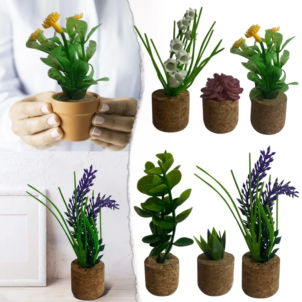 Plantes Et Parfums
