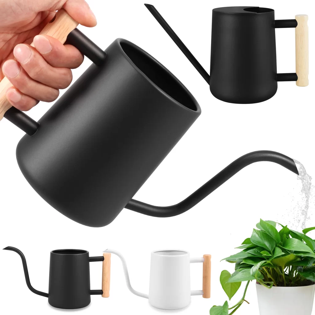 Plante Sans Arrosage