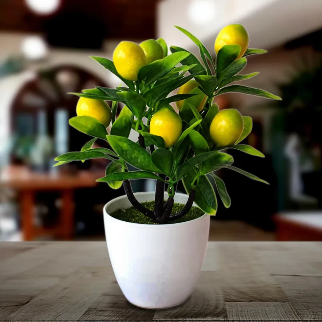 Plantes Rares