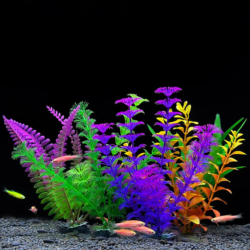 Plante Aquarium