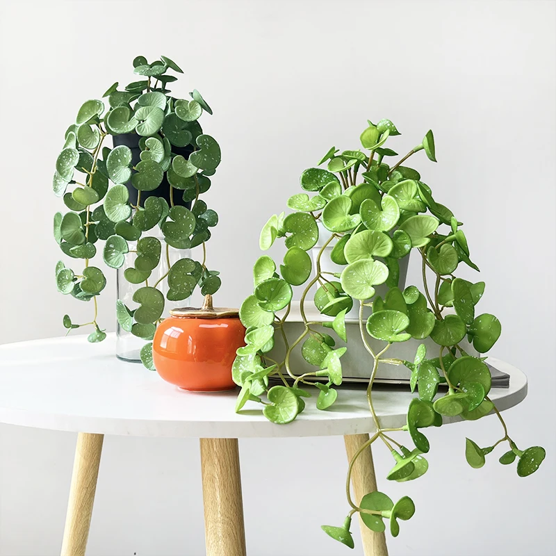 Plante Et Jardin