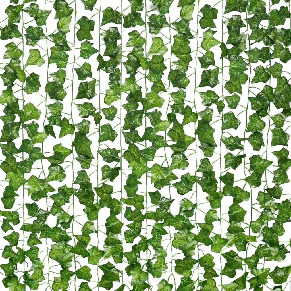 Plante Et Jardin