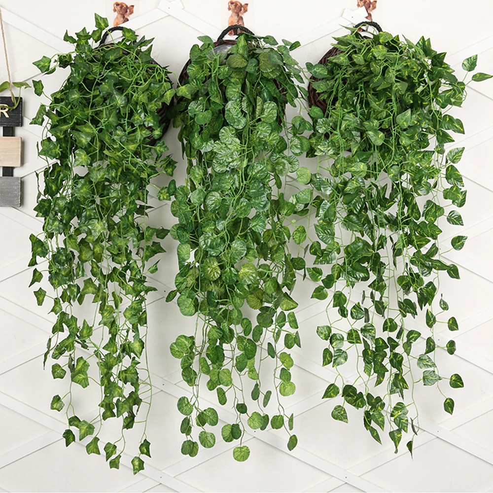 Plantes Rares