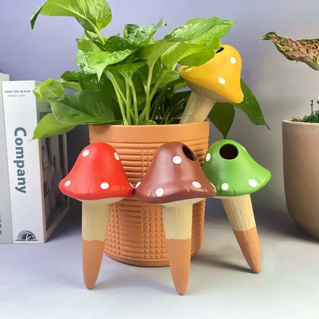 Oya Arrosage Plante
