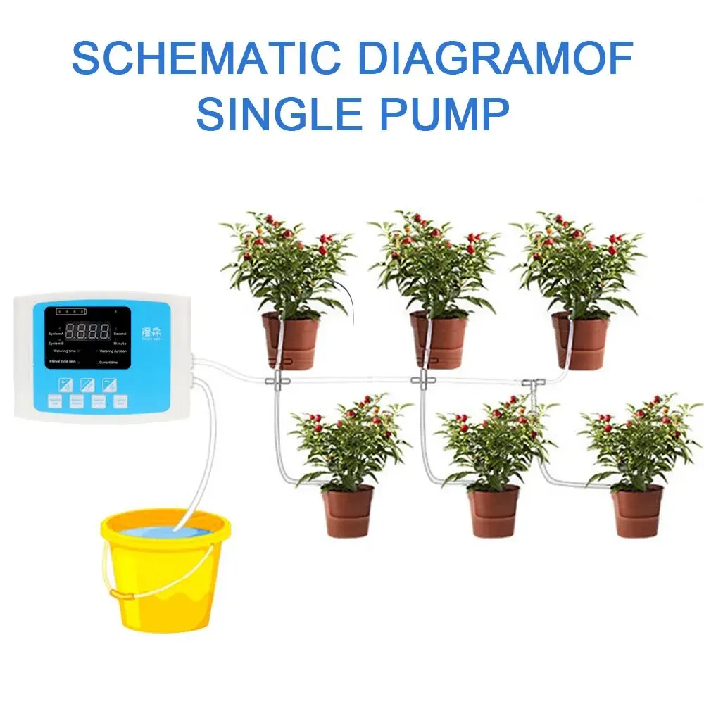 Plante Sans Arrosage