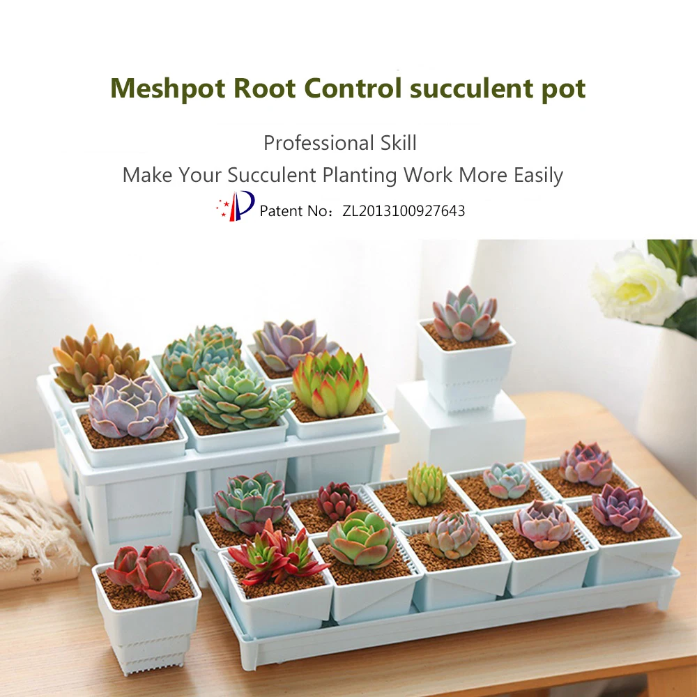 Carre Potager Etage