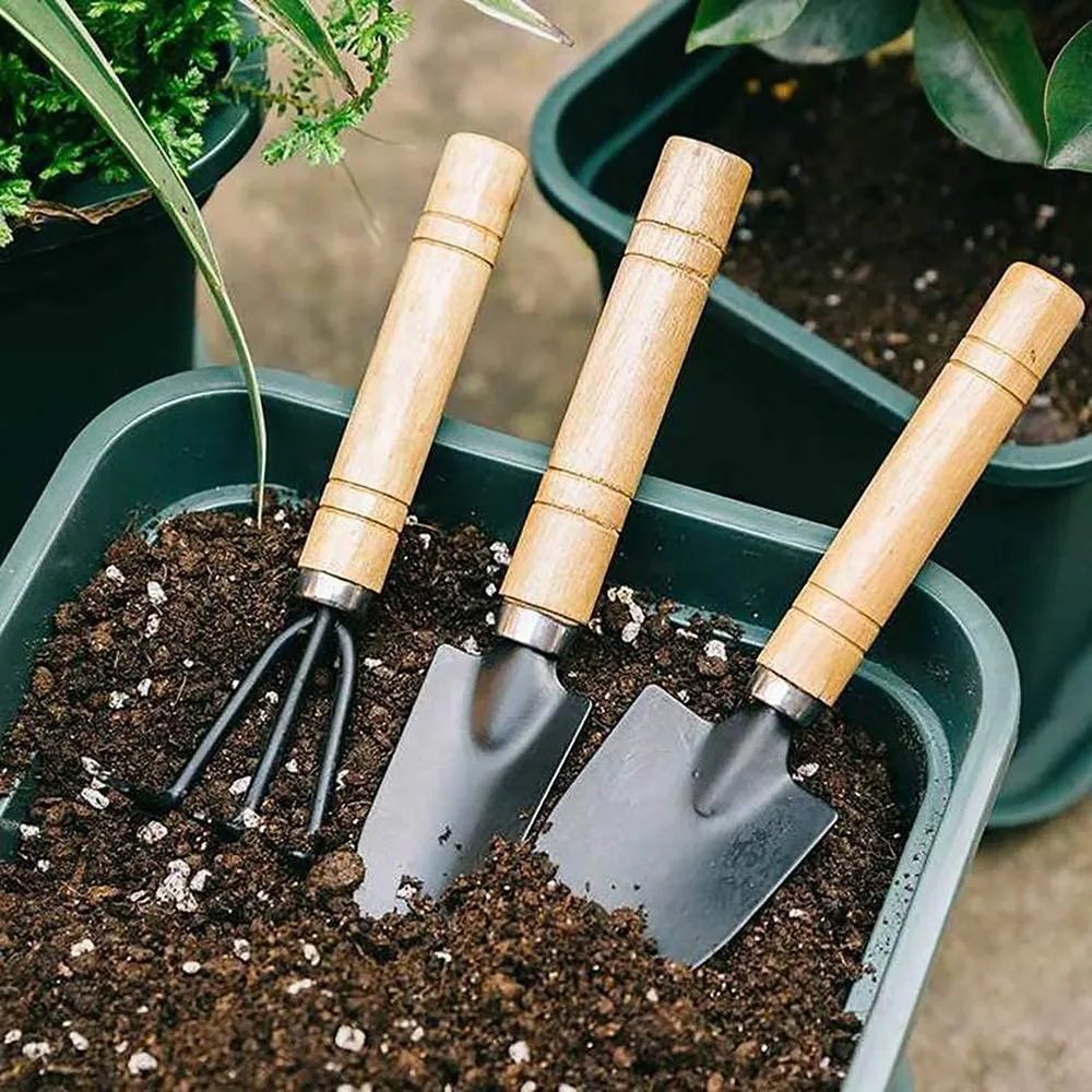 Equipement Jardin