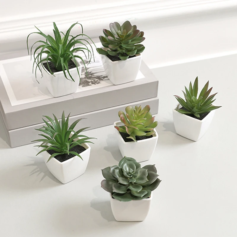 Plante Et Jardin