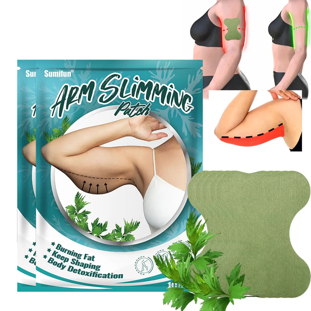Plante Grasse Artichaut