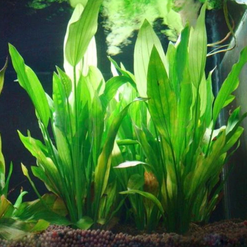 Plante d'eau artificielle en plastique