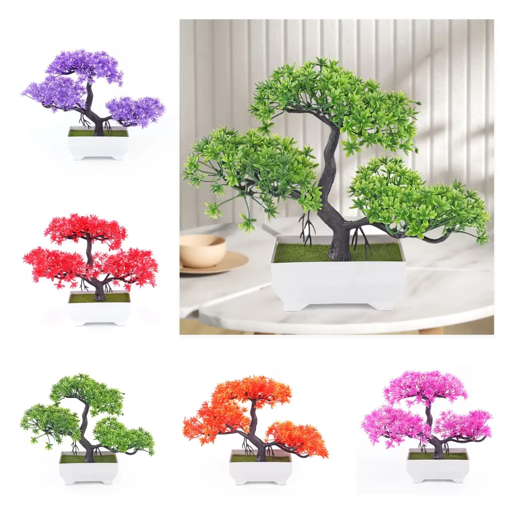 Plante Fille De LʼAir