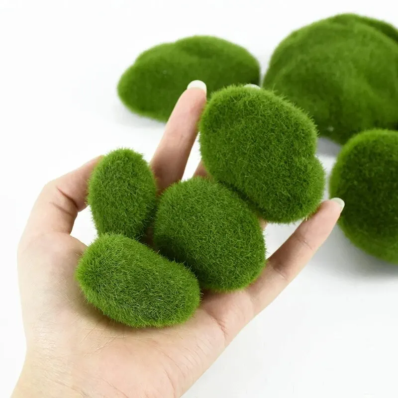 Plantes Et Jardin