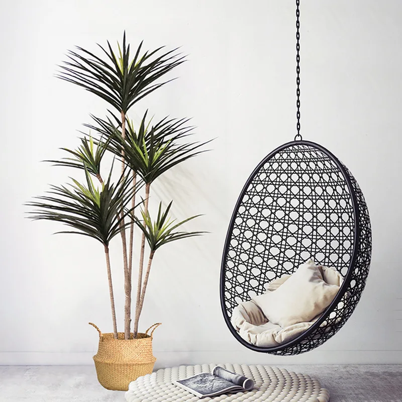 Plante Dans Un Bocal