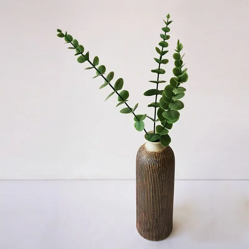 Plante Dans Un Bocal