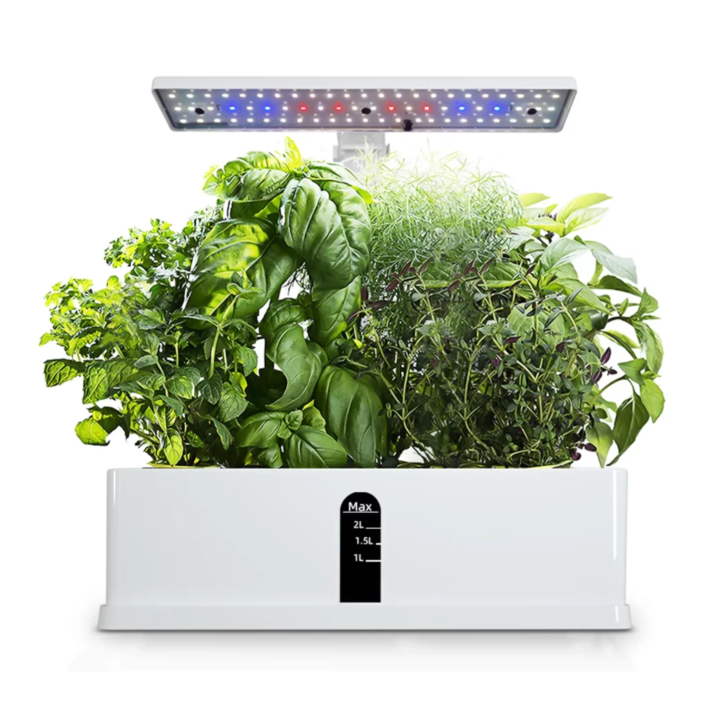 Arrosage Tomates Automatique