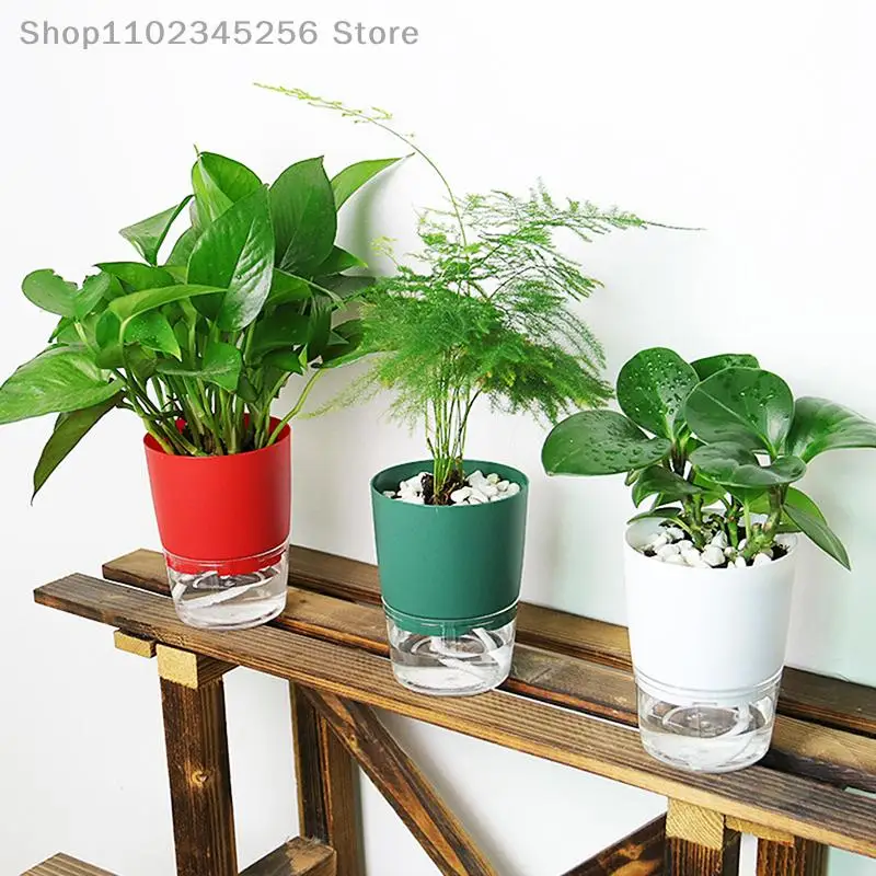 Plantes Exterieures Sans Arrosage