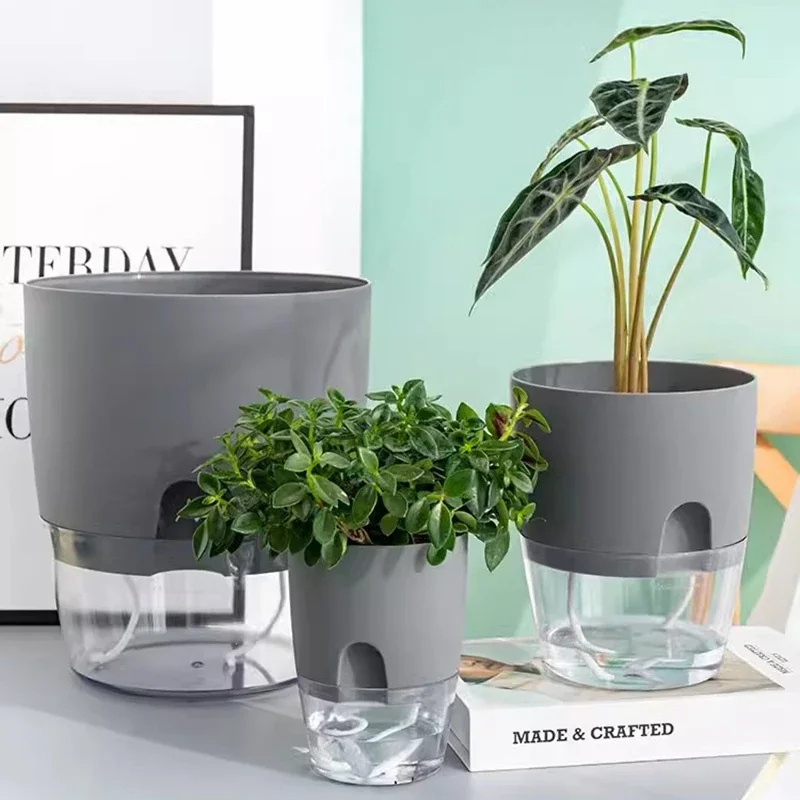 Plantes Exterieures Sans Arrosage