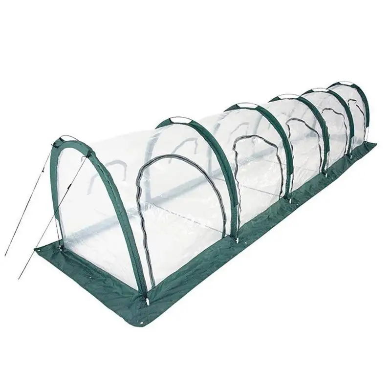 Plantes Robustes Pour Balcon