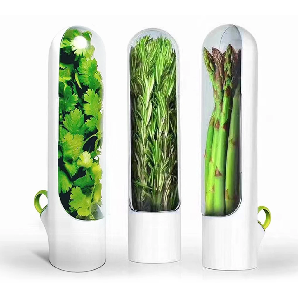 Bac À Potager