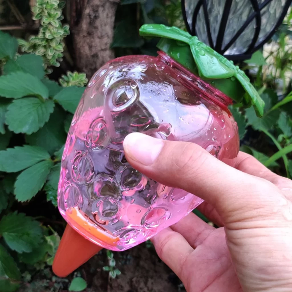 Arrosage Fraisier Goutte À Goutte