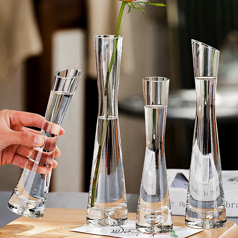 Plantes Sous Verre