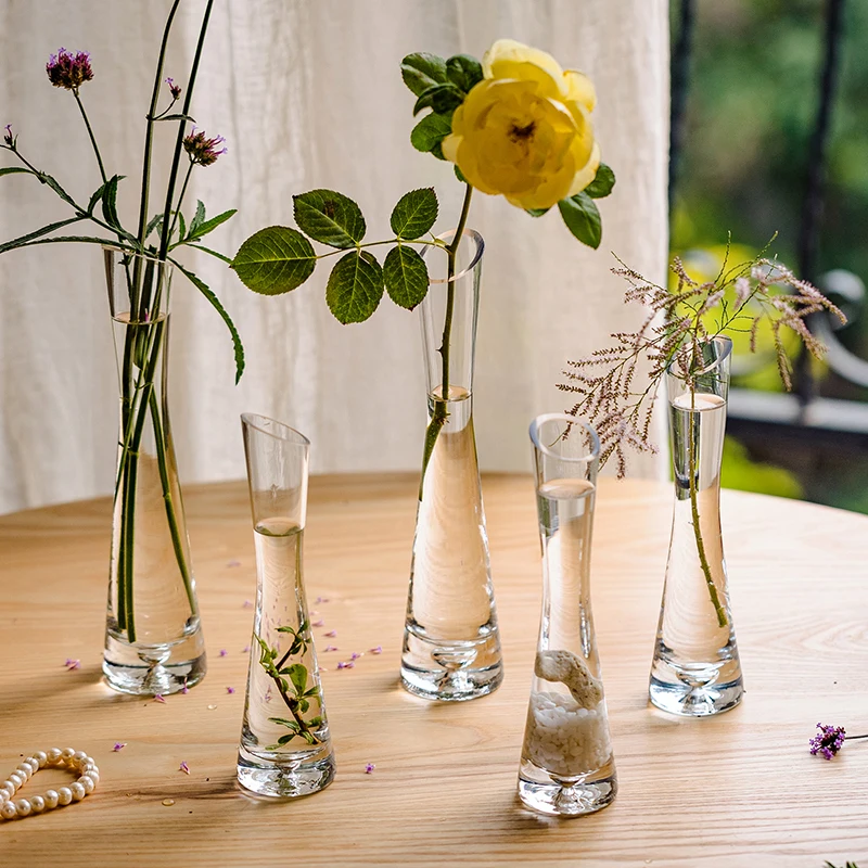 Plantes Sous Verre