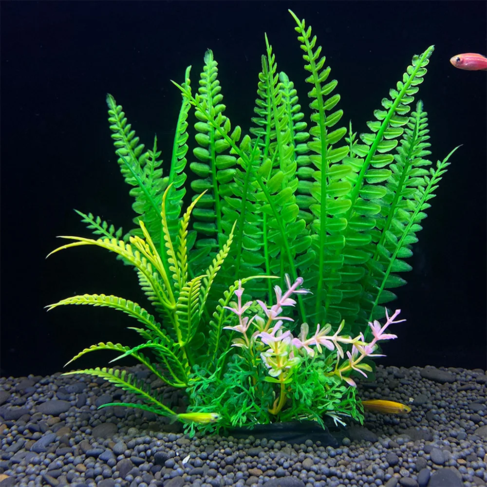 Plante Aquarium
