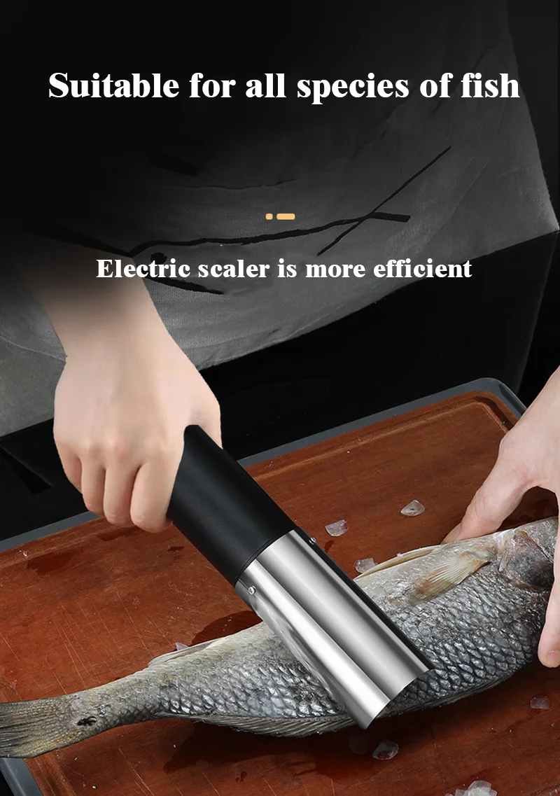 Image du Détartreur de poisson électrique portable