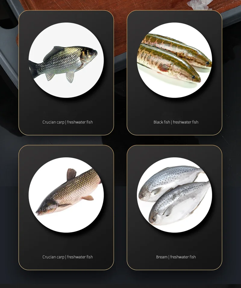 Image du Détartreur de poisson électrique portable