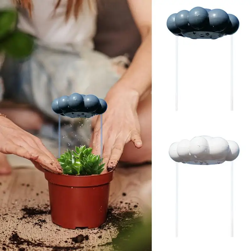 Plantes Plein Soleil Sans Arrosage