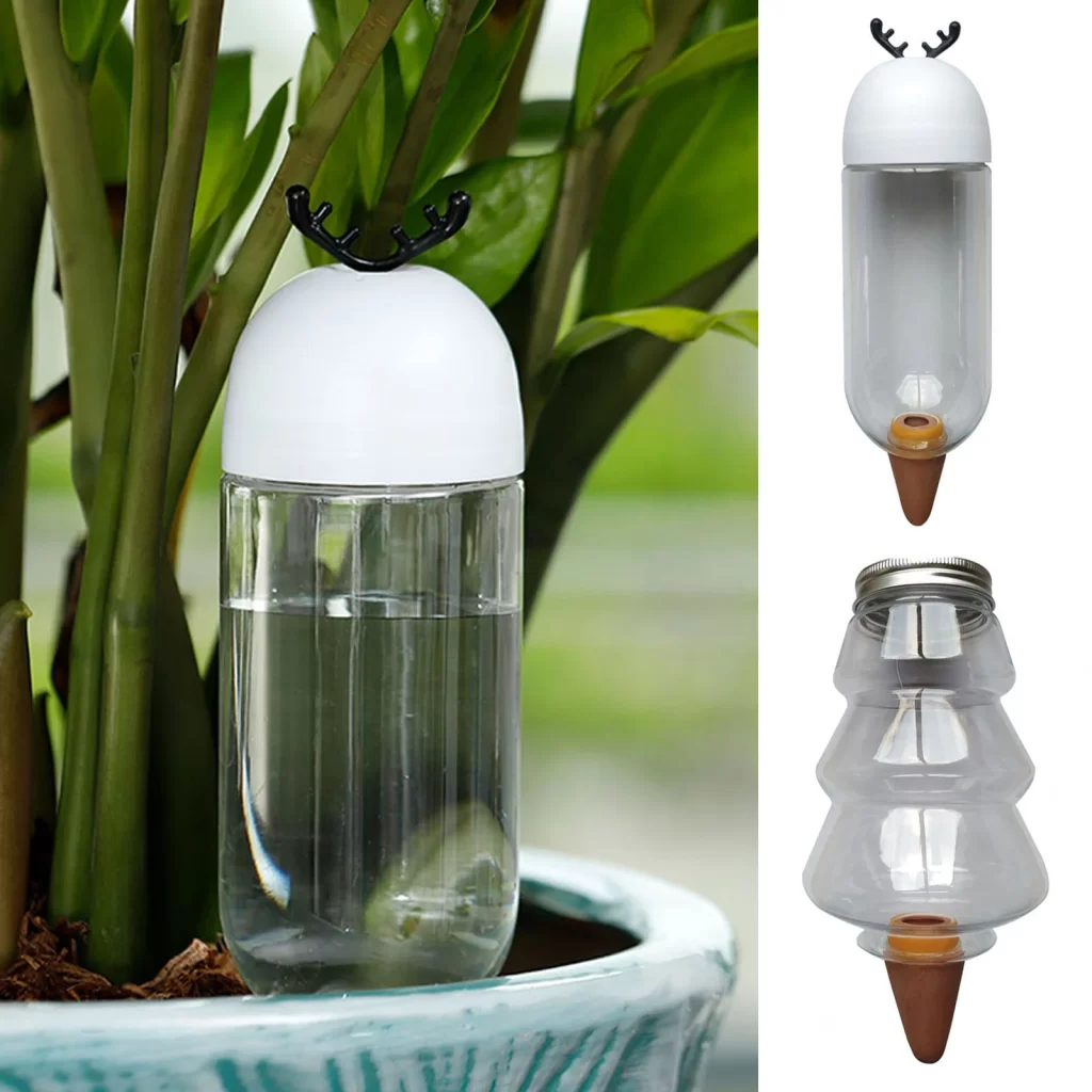 Arrosage Terrarium