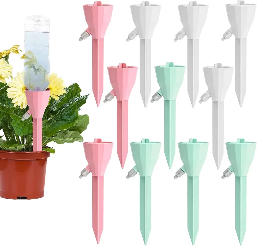 Plante Sans Arrosage