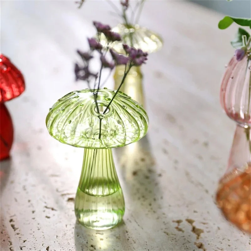 Plantes Sous Verre