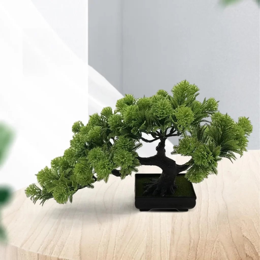 Plantes Exterieures Sans Arrosage