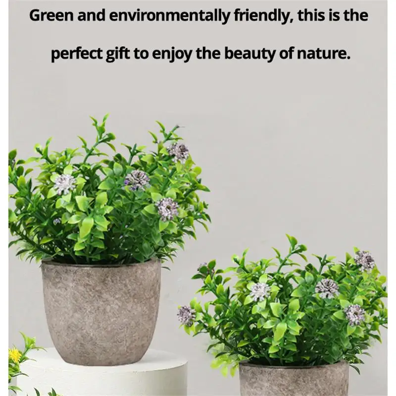 Plantes Plein Soleil Sans Arrosage