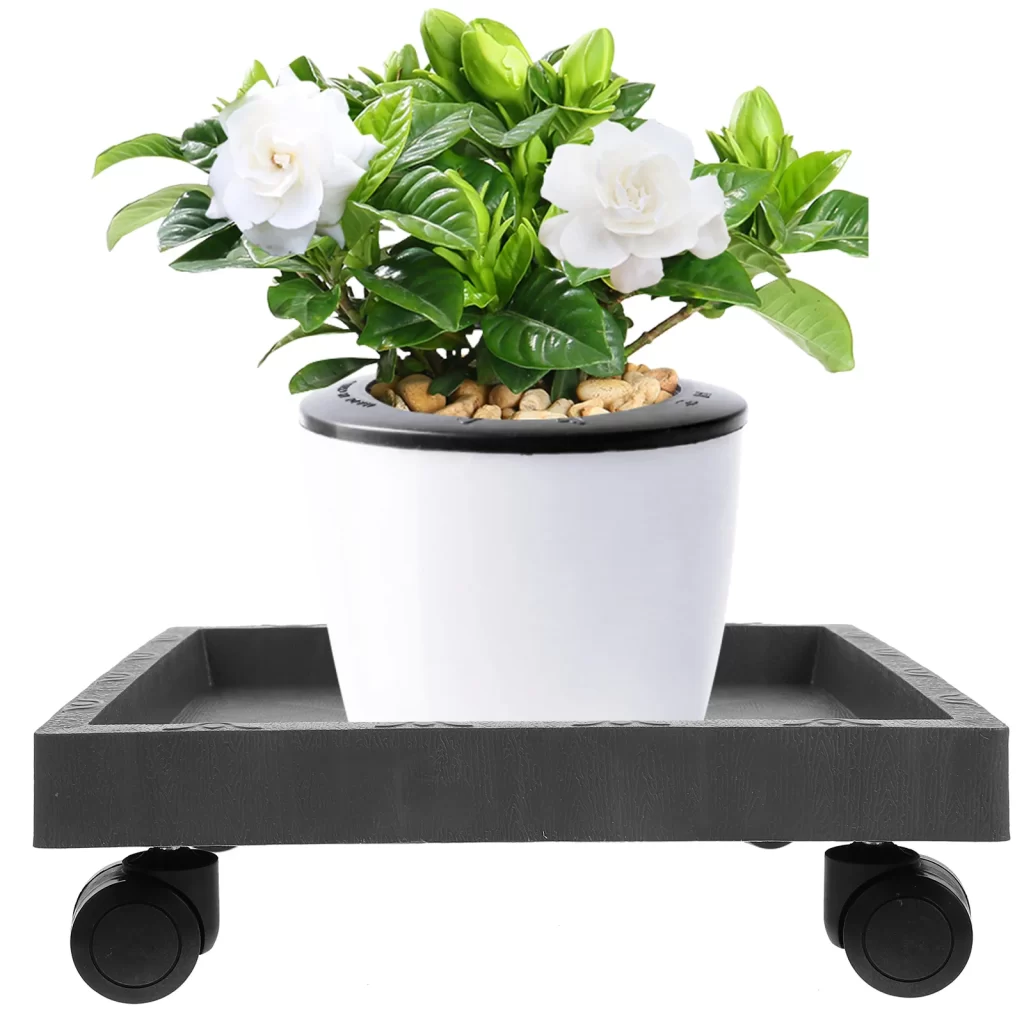 Carre Potager Etage