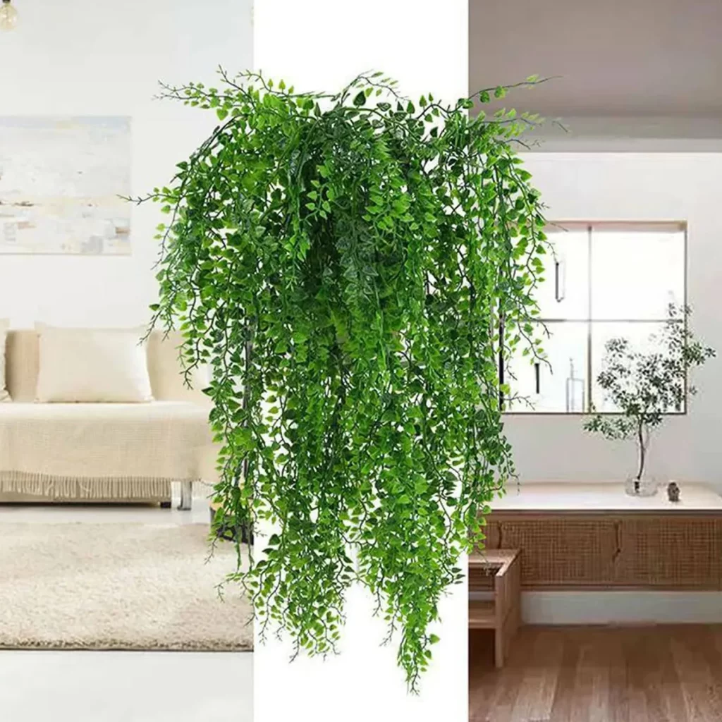 Plantes Rares