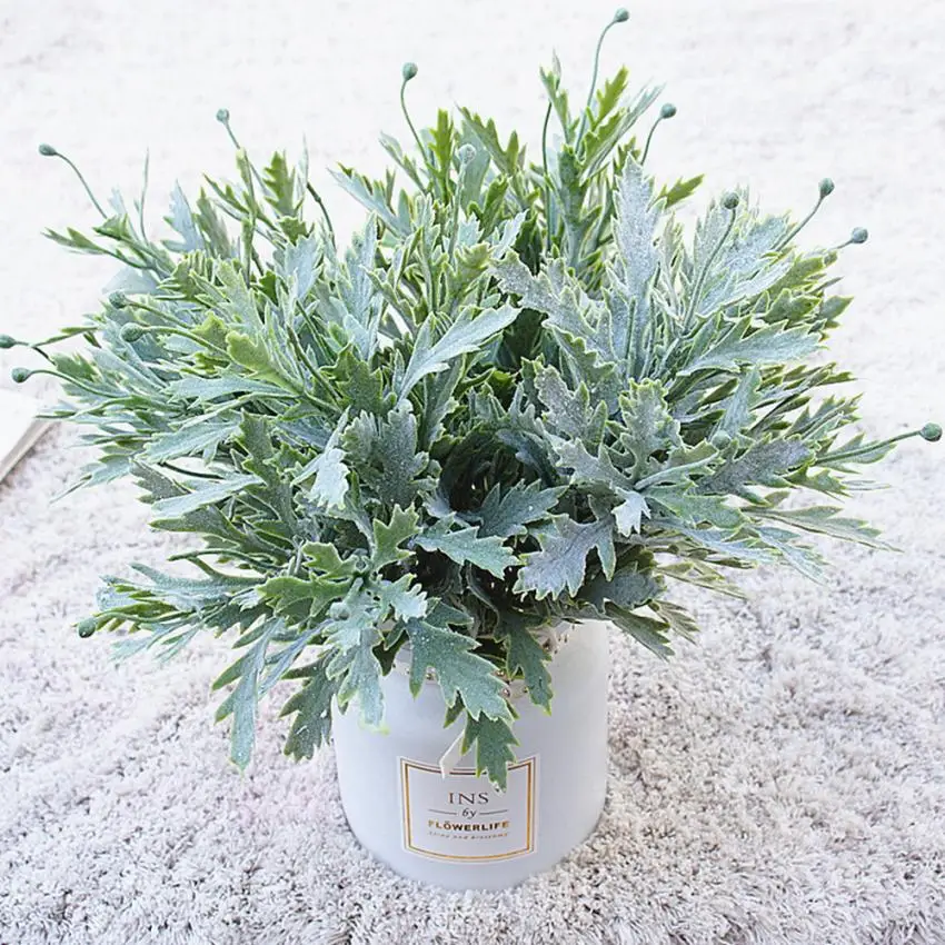 Plante Dans Un Bocal