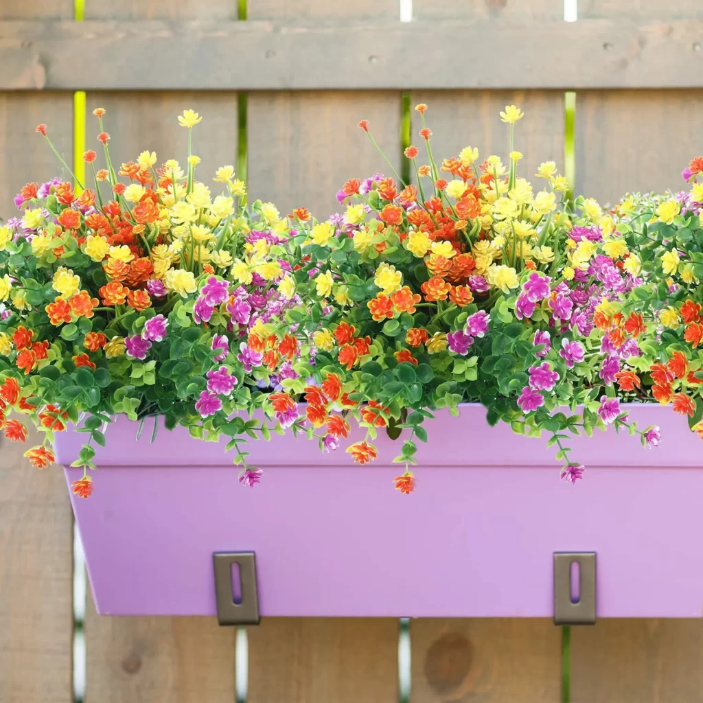 Fleurs Sans Arrosage