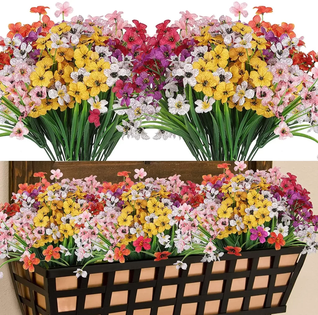 Fleur Plein Soleil Sans Arrosage